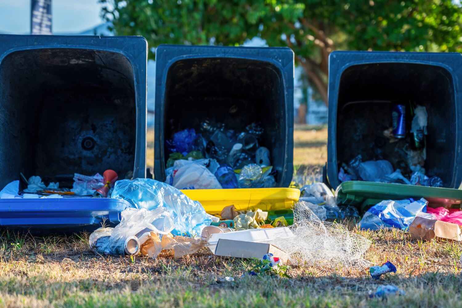 Best Trash Removal Near Me  in Greenville, TX